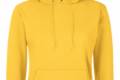 FoL Ladies Hooded Sweat