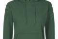 FoL Ladies Hooded Sweat