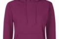 FoL Ladies Hooded Sweat