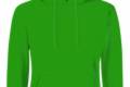 FoL Ladies Hooded Sweat