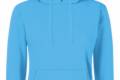 FoL Ladies Hooded Sweat