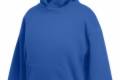 FoL Kids Hooded Sweat