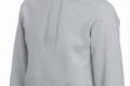 FoL Hooded Sweat