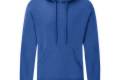 FoL Hooded Sweat